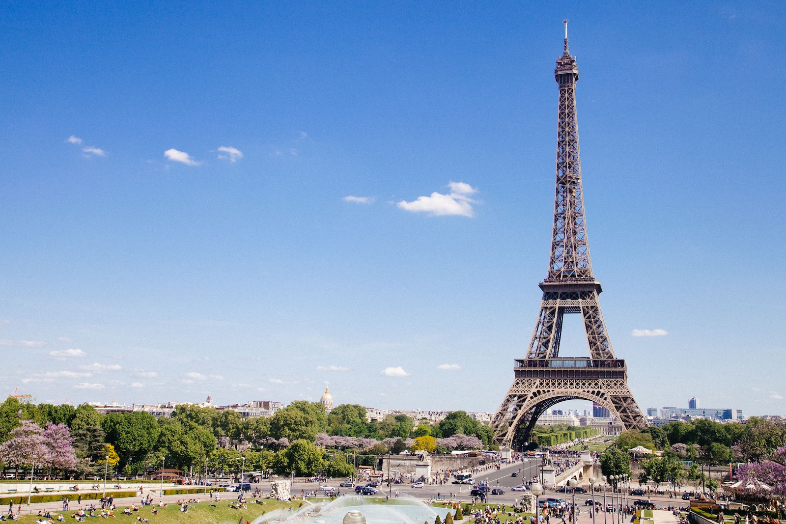 Paris autrement : Bateau-Mouche et visites guidées sur la Seine